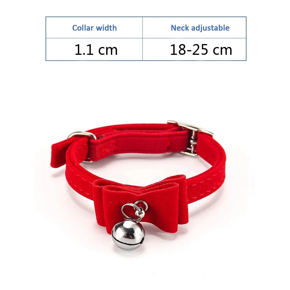 Kitten & Cat Collars